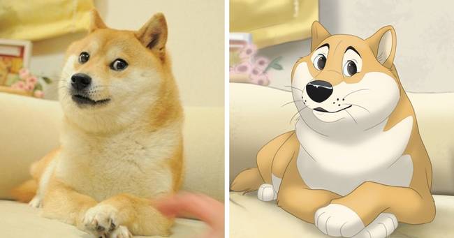 Doge, a híres mémkutya