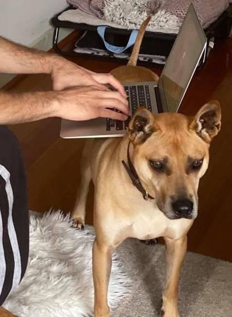 15 Tweet az otthoni munkáról, ami valószínűleg sokak számára ismerős