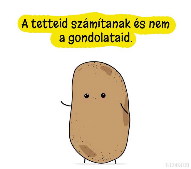 20 újabb bölcs gondolat egy krumplitól, ami Téged is gondolkodóba ejt