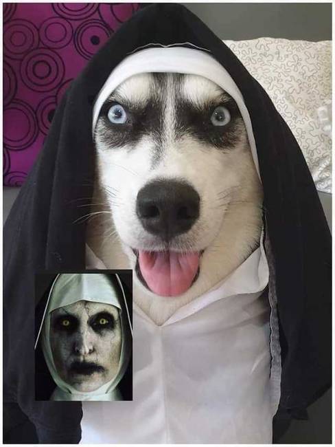 Ez a cosplay jobb, mint az eredeti.