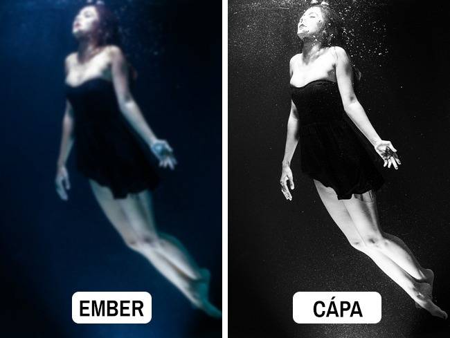 Cápa