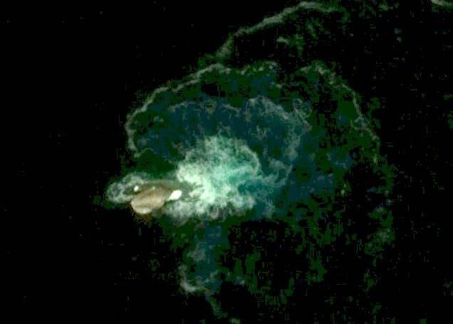 Víz alatti szörnyetegek? Egyes elméletek szerint ezen a fotón egy "tengeri szörny" látható, amit az antarktiszi Deception Island partjainál kaptak le.