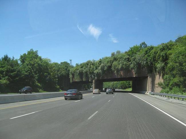VAD-HÍD NEW JERSEY-BEN.