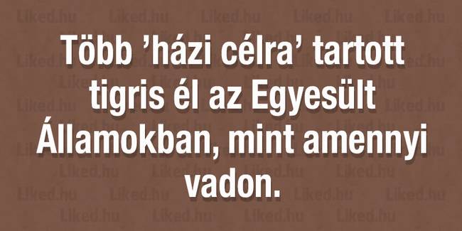20 hihetetlennek tűnő tény és statisztika, amit még álmainkban sem gondoltunk volna