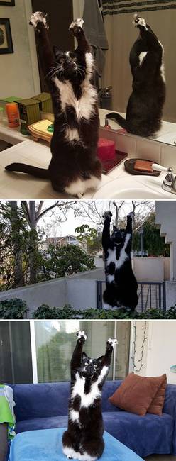 Nagyon fohászkodik valamiért.
