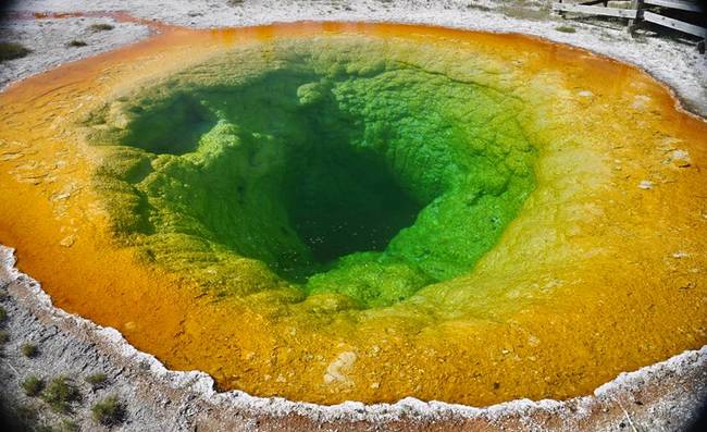 Morning Glory Pool.