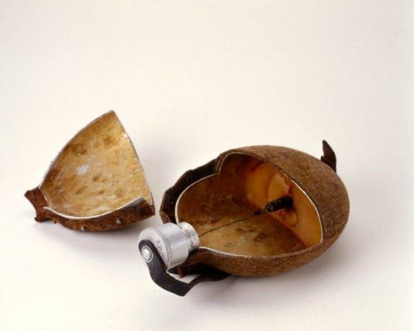 Kulacsbomba.