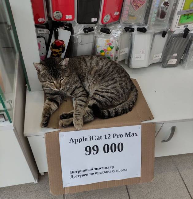 Kicsit drága, de a minőséget meg kell fizetni.