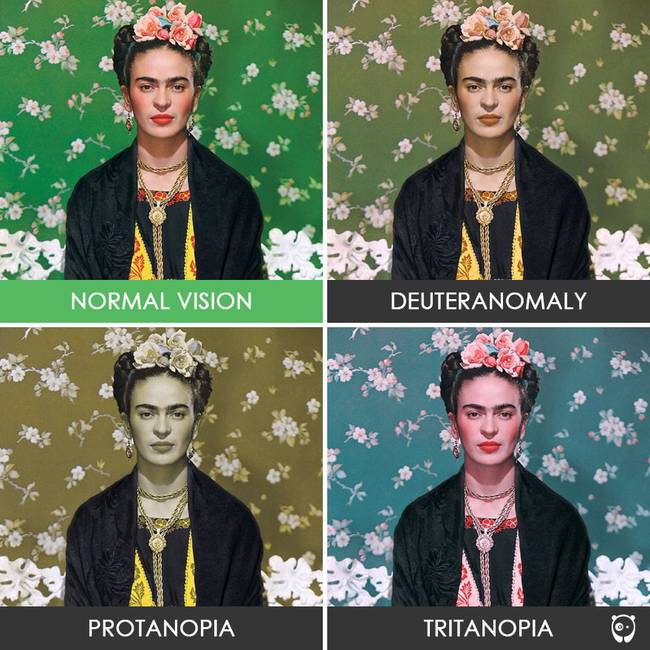 Frida Kahlo, festőművész.