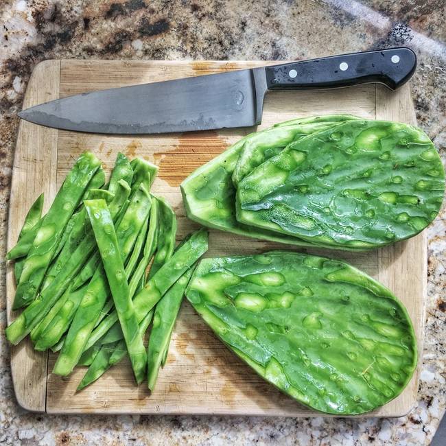Nopal (fügekaktusz)