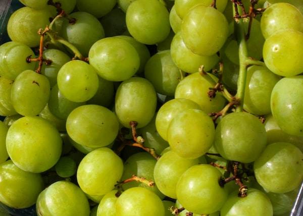 Elmondjuk, hogy milyen időjárást testesíteszt meg, de először válassz egy ételt minden színben