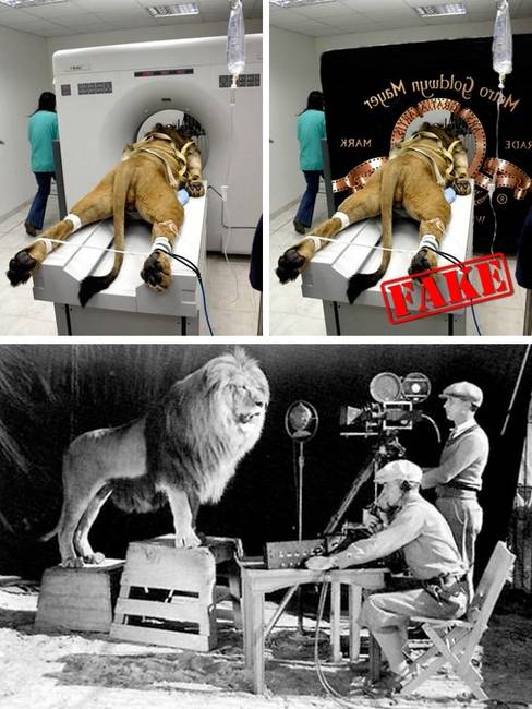 Metro-Goldwyn-Mayer oroszlán