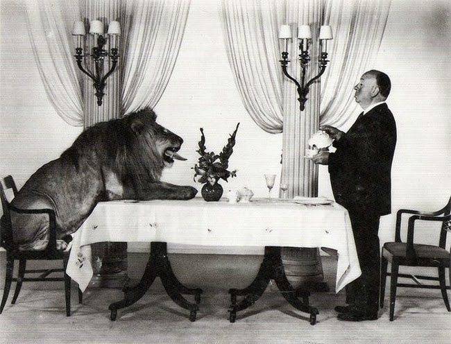 Alfred Hitchcock teázni akart a Metro-Goldwyn-Mayer logó híres oroszlánjával.