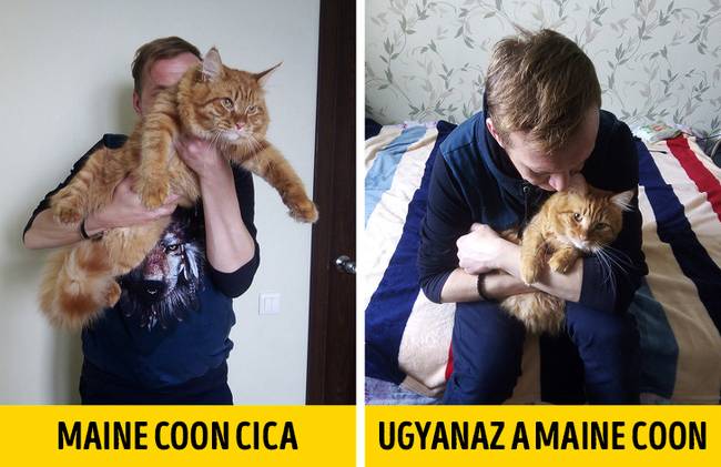Nem olyan hatalmasok.