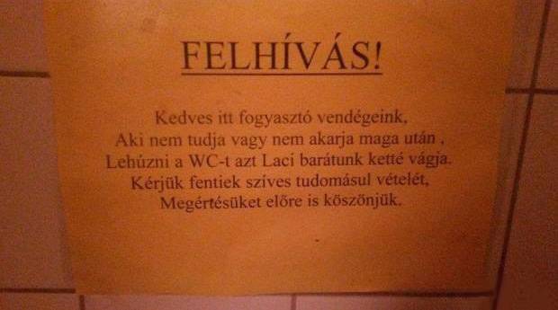 Laci nem szarozik, cselekszik.