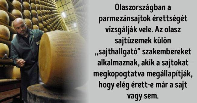 15 hihetetlen rejtvény, aminek a megoldása figyelemre méltó tudást és műveltséget igényel