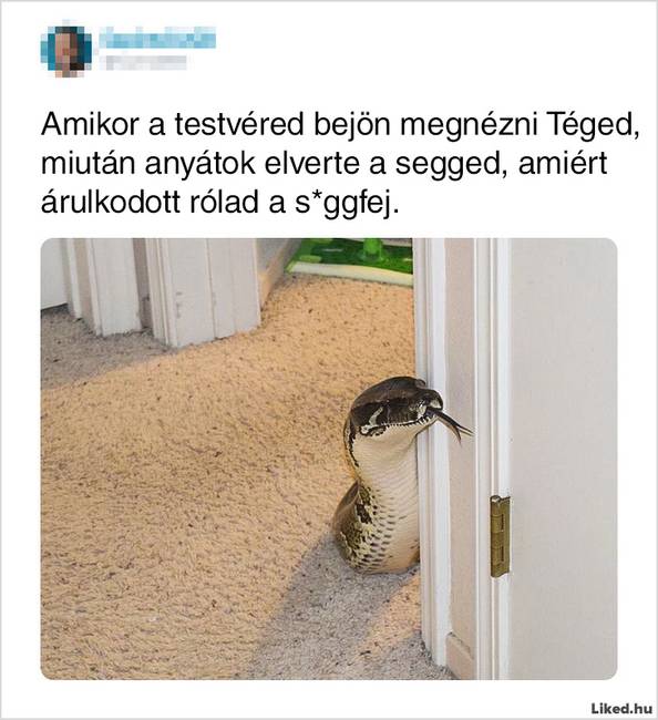17 élethelyzet, ami jól mutatja, hogy milyen kiszámíthatatlan is a testvérek élete
