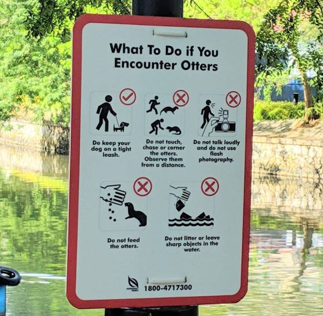 A turistákat táblákkal segítik, hogy tudják, mit kell tenni, ha váratlanul vidrával találkoznak.
