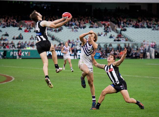 AFL.