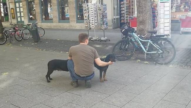 Csak egy nagyon...nagyon hosszú kutya.