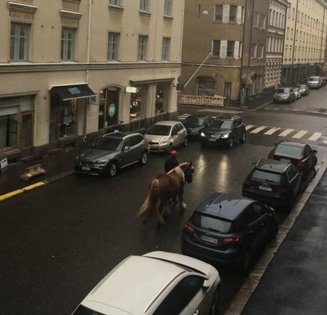 „Helsinki belvárosában nehéz parkolóhelyet találni, ezért jobb, ha lóval mész."