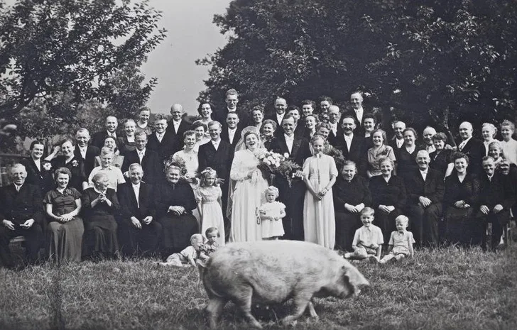 A nagymama 1959-ben, az anya 25 évvel később, és a lánya még 25 évvel később is ugyanabban a ruhában ment férjhez.
