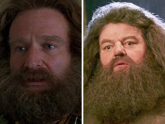 Rubeus Hagrid - Robin Williams