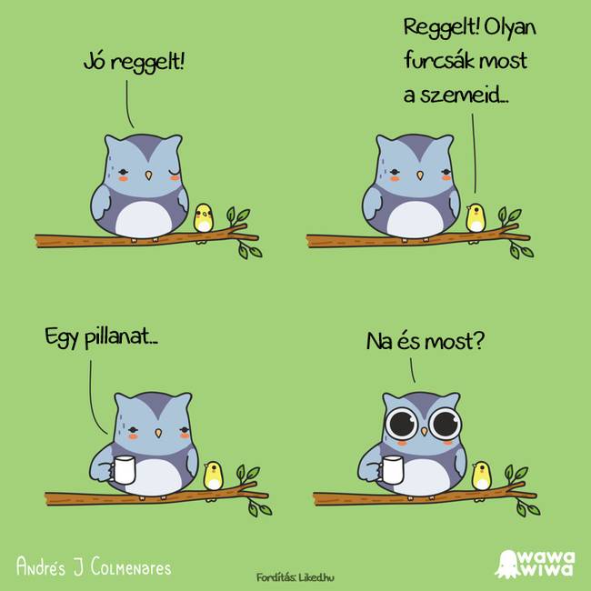 Egy tehetséges kolumbiai művész, aki humorral és szarkazmussal teli helyzeteket illusztrál
