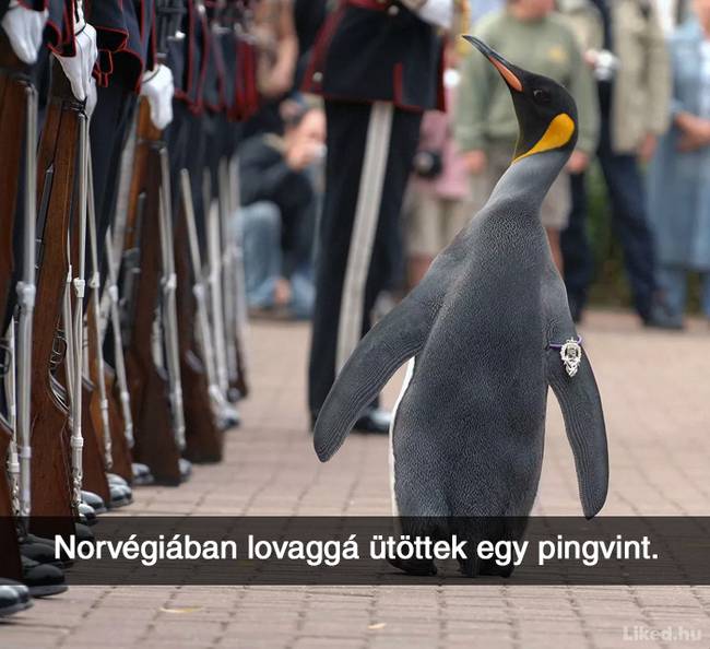 20+ örömteli tény, ami után teljesen más szemmel nézel majd a világra
