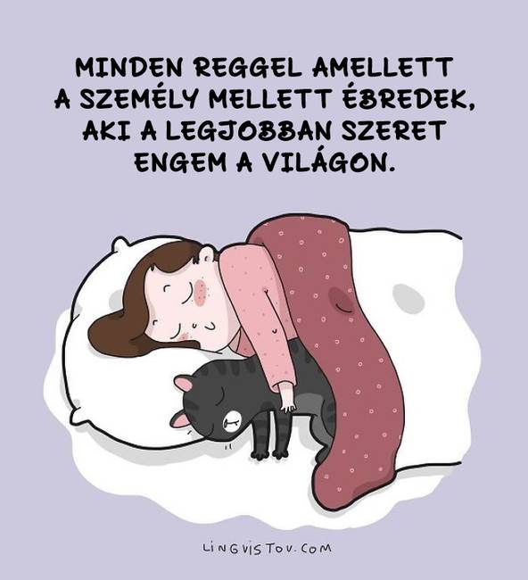 Egy művészduó képregényeket készít a macskagazdik legtipikusabb pillanatairól