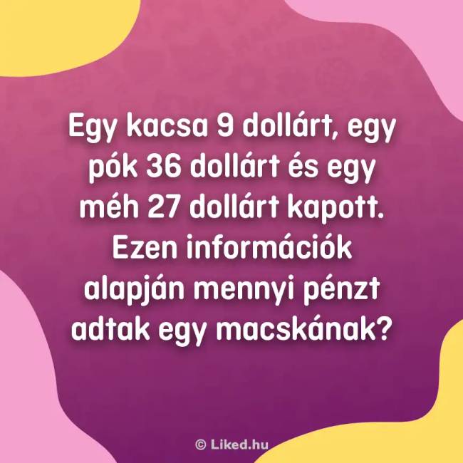 Macskateszt