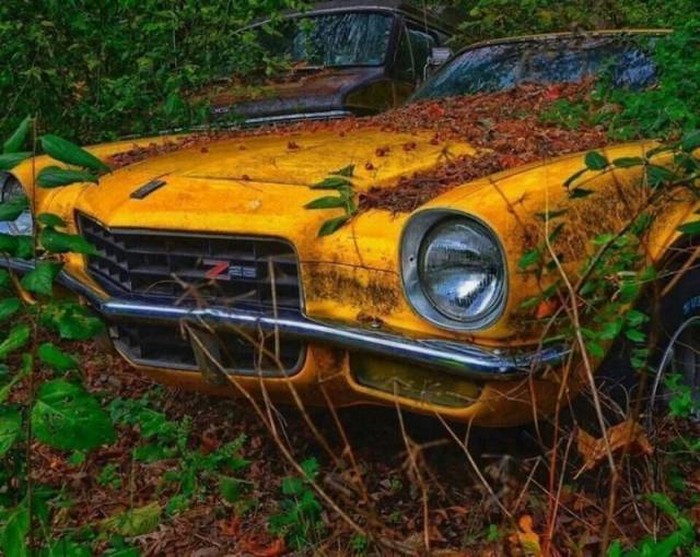 Chevrolet Camaro Z/28
