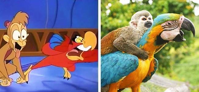 Abu és Jago (Aladdin)