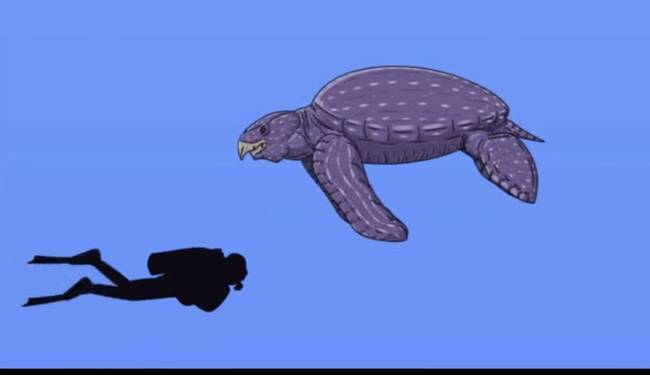 Az Archelon ischyros egy ősi óriás teknős, aminek a maradványait nemrég találták meg Dél-Amerikában.