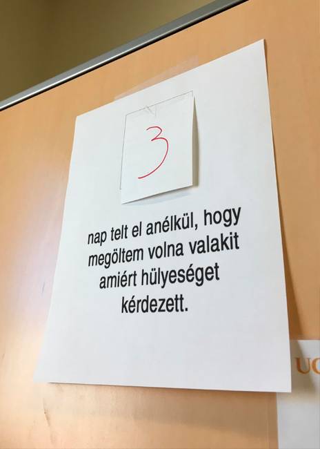 Nem lehet eléggé kihangsúlyozni az apró sikereket.