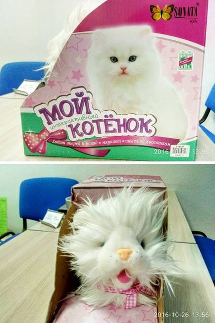 „Egy 'cuki-cicás' játék, amit a kollégám vett a lánya születésnapjára...”