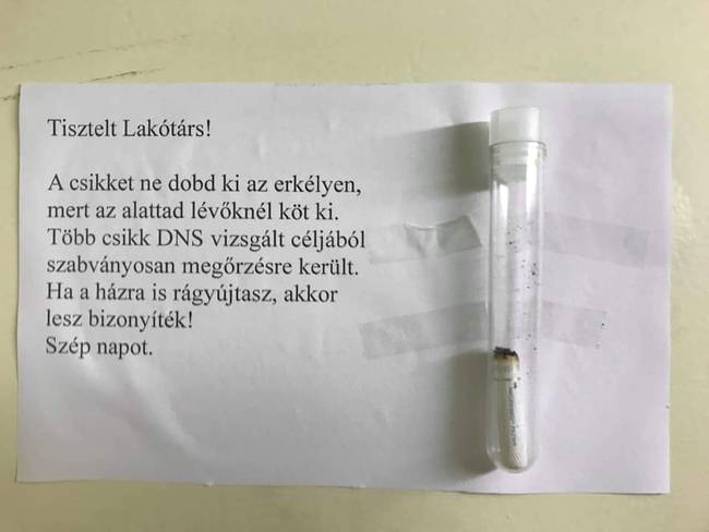 Amikor a láncdohányos és a Helyszínelők mániás szomszéd egymásra találnak.