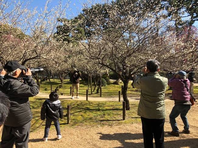 „Tavasszal sétáltam egy japán parkban, amikor láttam egy kamerás férfiakkal teli tömeget, ezért hát megnéztem, hogy mi folyik ott."