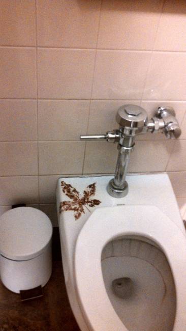 A WC dekorálására törekvő erőfeszítés már a motívum színválasztásának pillanatában értelmét vesztette... :D