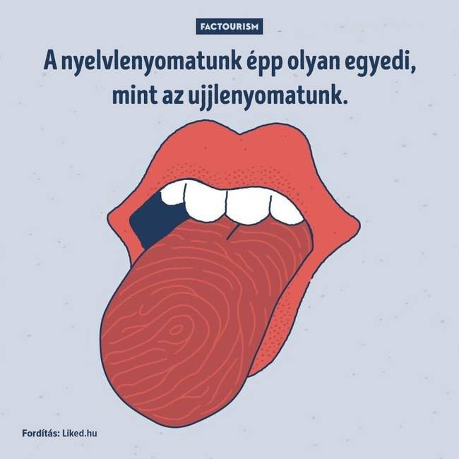25+ őrült tény a világról, ami még a tapasztalt tudósokat is sokkolja