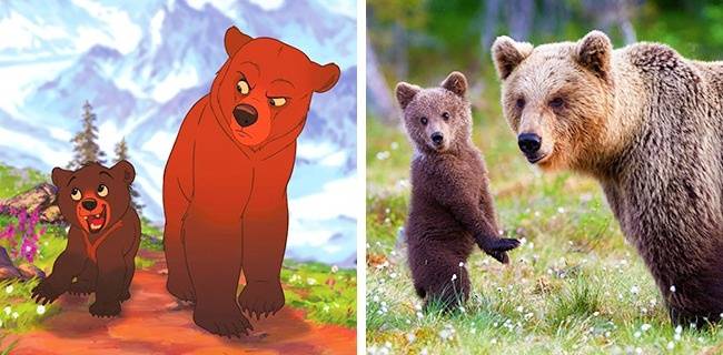 Kenai és Koda (Mackótestvér)