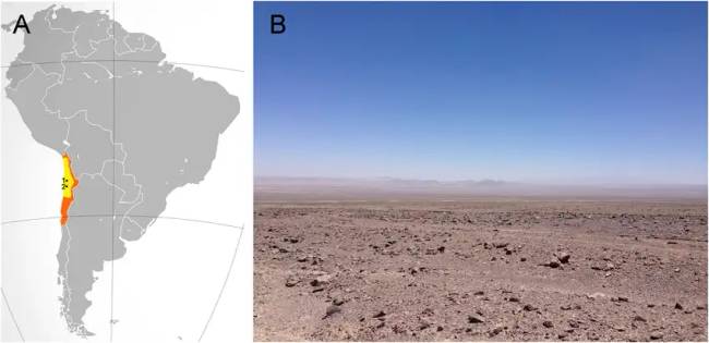 Az Atacama-sivatag Dél-Amerika térképén (balra) és tájképei (jobbra)