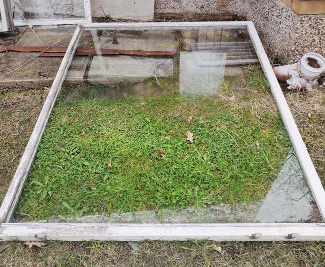 A régi ablak úgy viselkedett, mint egy üvegház: alatta sokkal gyorsabban kezdett nőni a fű.