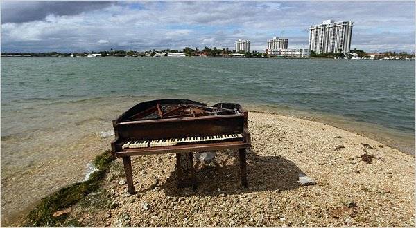 Ezt a hatalmas zongorát szintjén Florida partjainál találták.