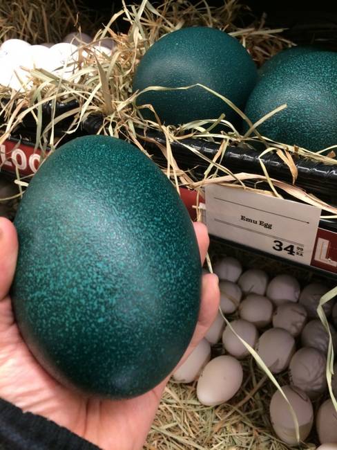 Egy szupermarket, ahol emu tojás is kapható.