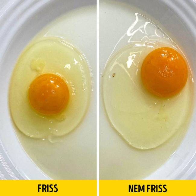 A tojás akkor friss, ha középen marad