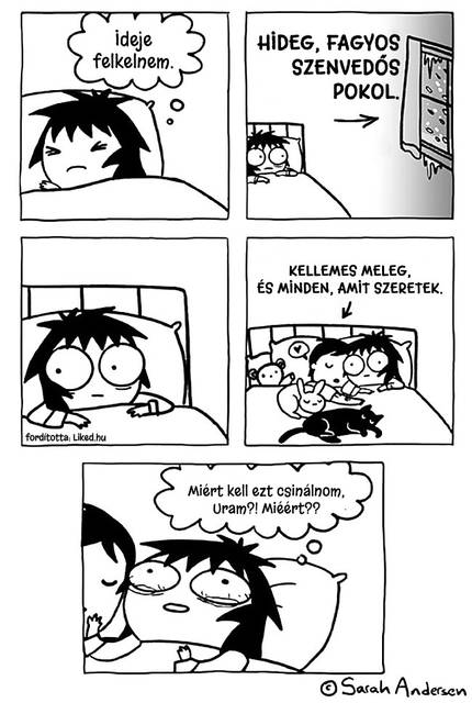 14 humoros képregény a független és felelősségteljes felnőtt életről