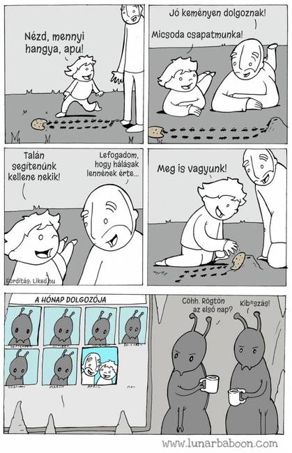 14 fordulatokkal teli képregény, ami garantáltan neked is feldobja a napodat
