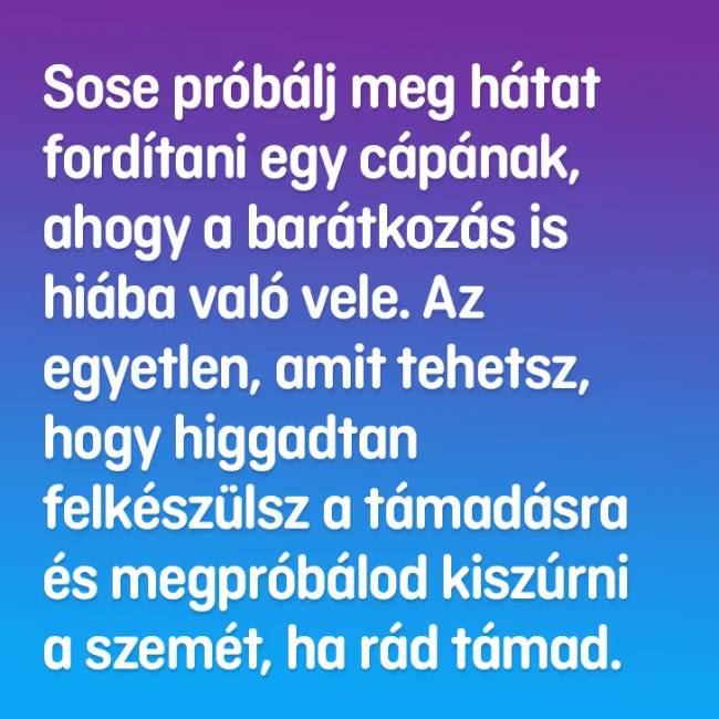 ember a vizben2