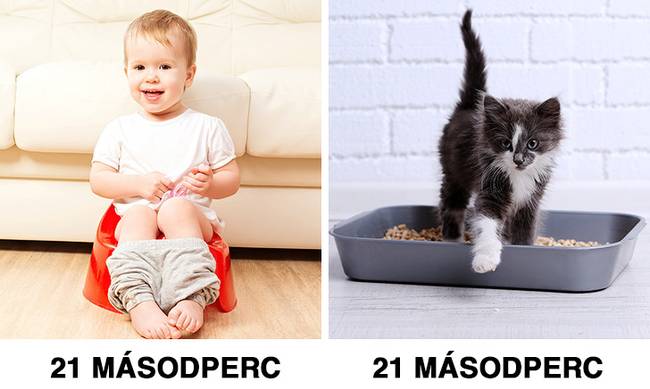 Vizelési idő